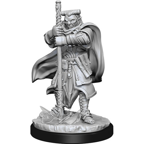 D&D Nolzur's Marvelous Unpainted Minis: W13 Hobgoblin Devastator & Iron Shadow