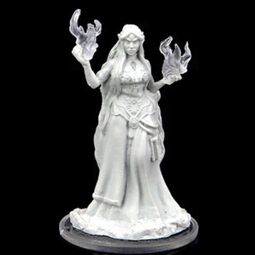 Critical Role Unpainted Minis: W2 Turst Militia Swordsman & Lyrengorn Holy Priest