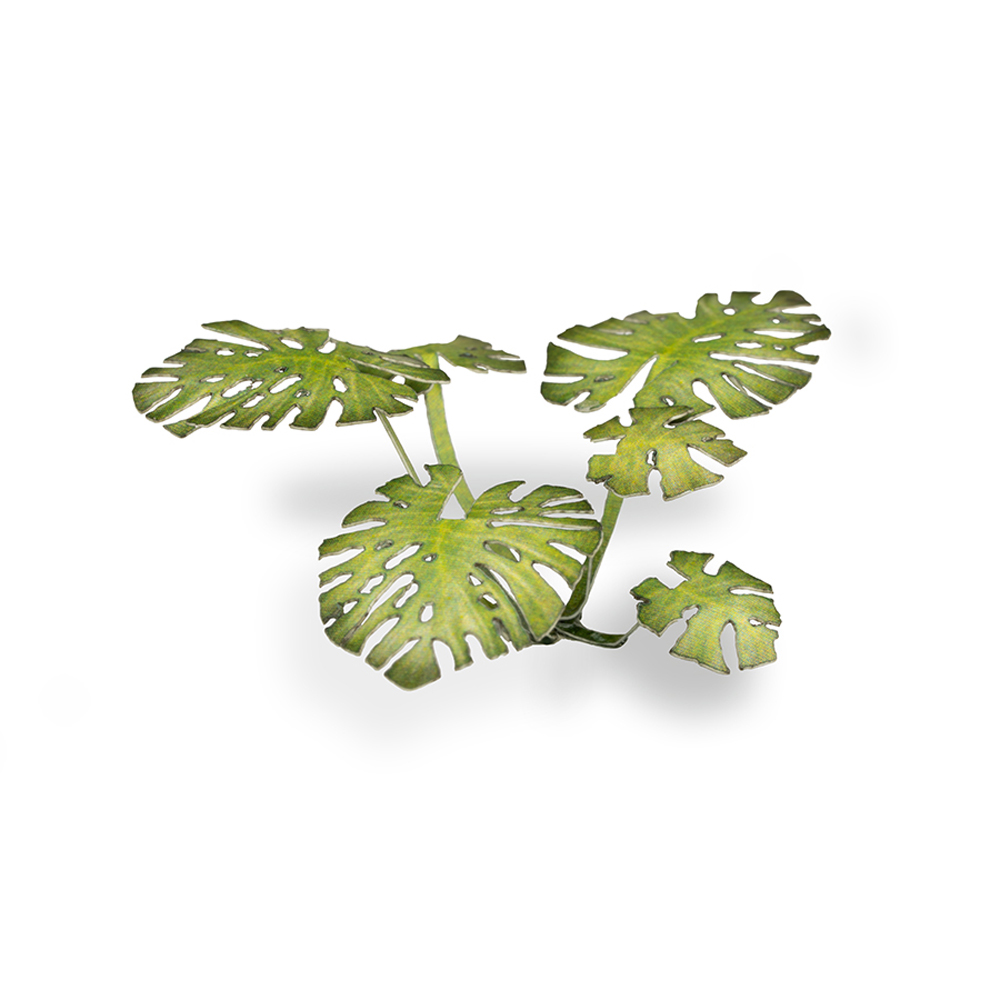 Laser Plants: Monstera