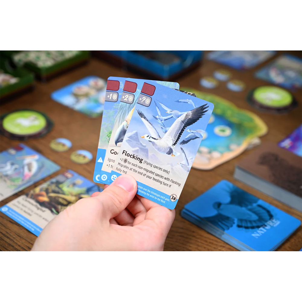 Nature: Module 1 Flight