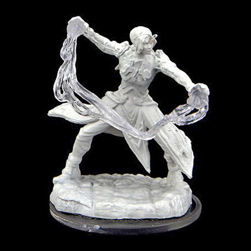 Critical Role Unpainted Minis: W2 Remnant Cultist & Chosen