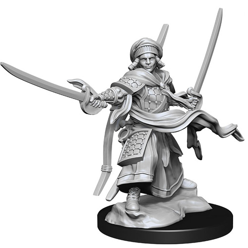 D&D Nolzur's Marvelous Unpainted Minis: W13 Male Human Ranger