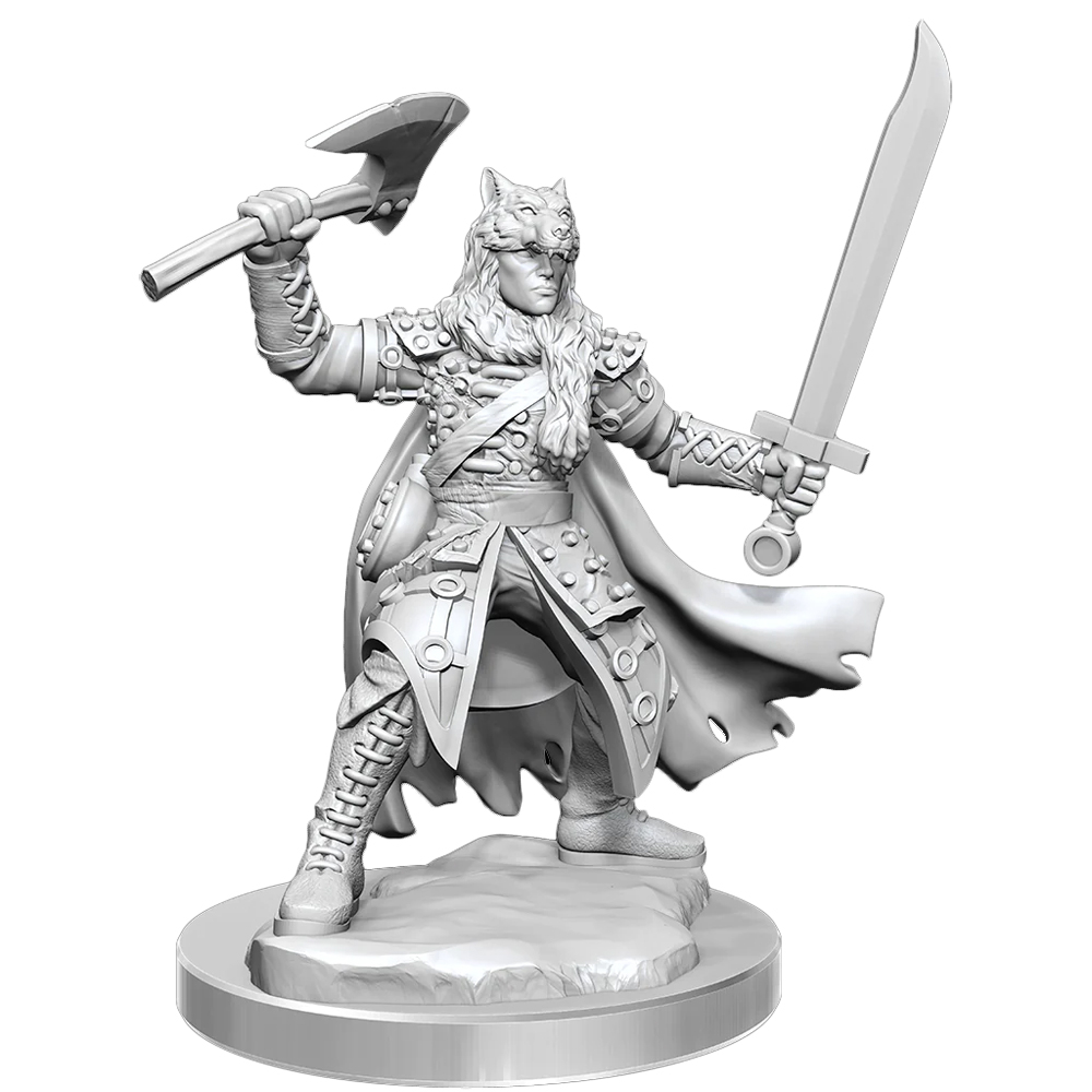 D&D Frameworks: W2 Male Half-Elf Ranger
