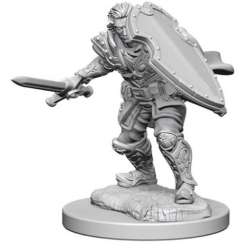 D&D Nolzur's Marvelous Unpainted Minis: W3 Male Human Paladin