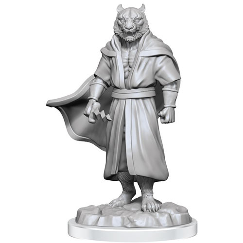 Critical Role Unpainted Minis: W3 Human Sorcerer Merchant & Tiger Demon