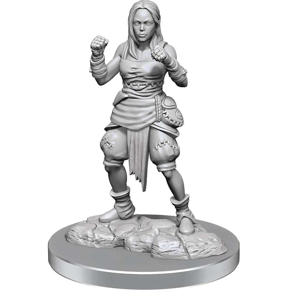 Pathfinder Battles Deep Cuts Unpainted Minis: W21 Female Half-Elf Monk