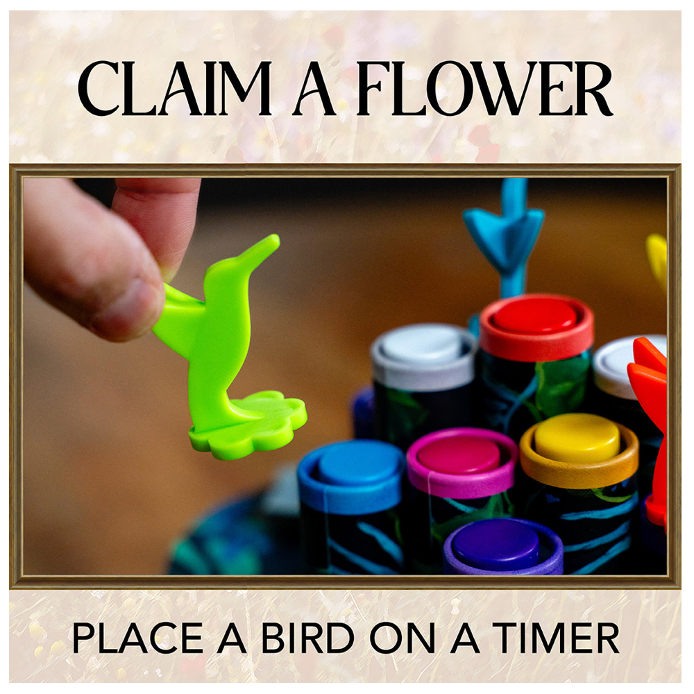 Hummingbirds (Incoming Restock)