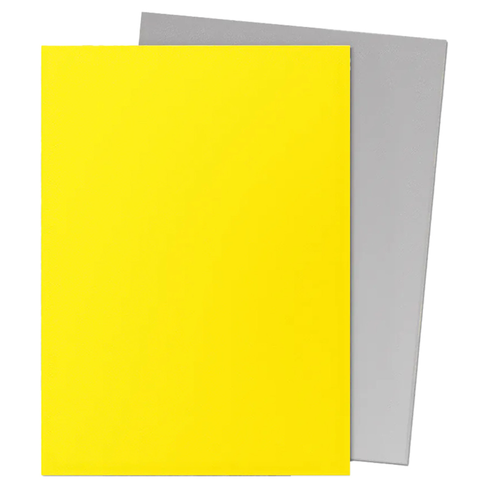Dragon Shield Sleeves: Matte Dual - Yellow & Silver (100)