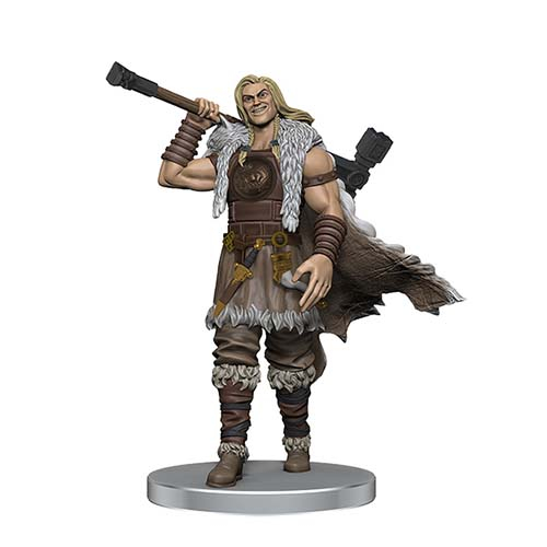 D&D Icons of the Realm: Adventures in the Forgotten Realms - Companions of the Hall