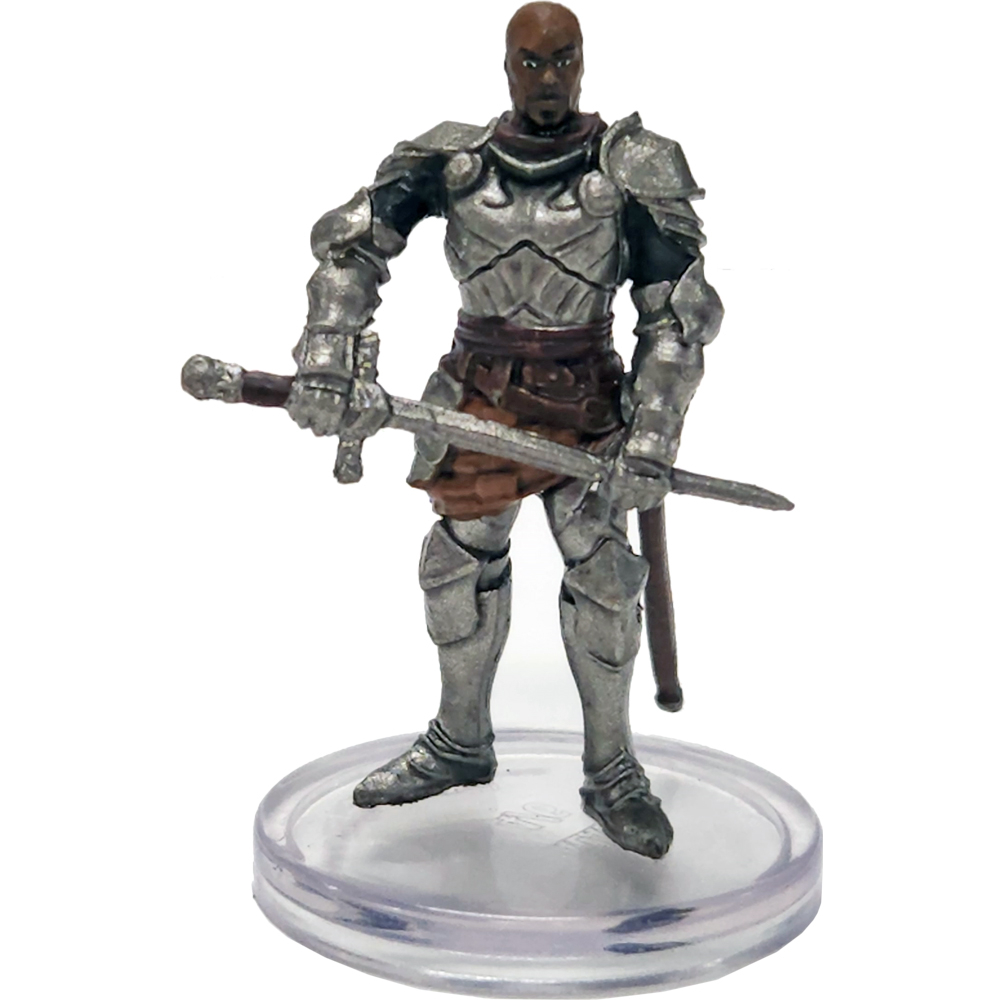 D&D Icons of the Realms: Voices of the Realms - Band of Heroes