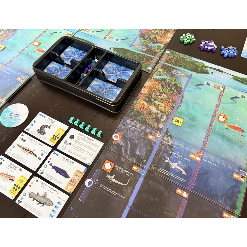 Finspan: Sharks & Reefs Expansion