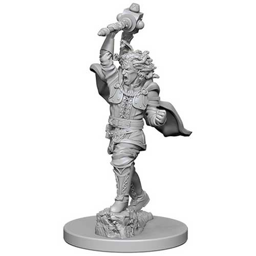 D&D Nolzur's Marvelous Unpainted Minis: W4 Medusas