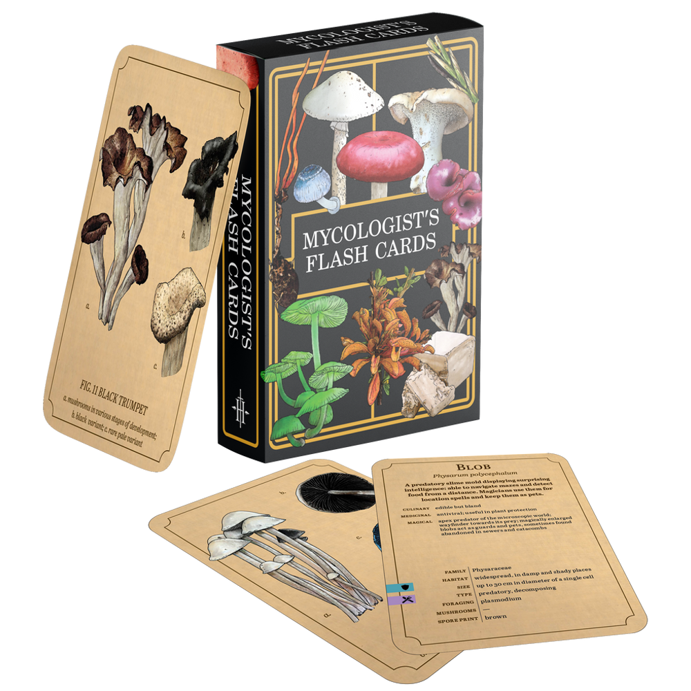 Mycologist's Primer: Flash Cards