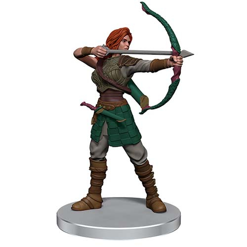 D&D Icons of the Realm: Adventures in the Forgotten Realms - Companions of the Hall