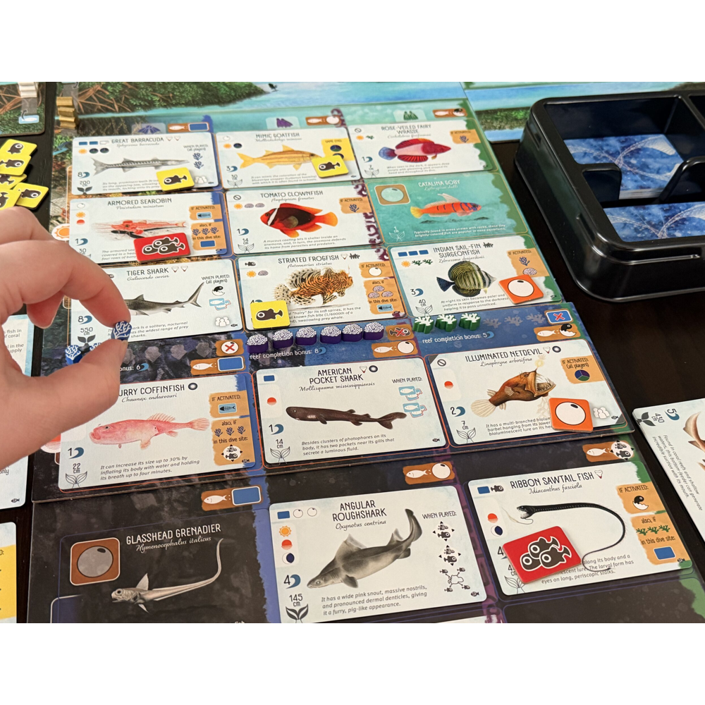 Finspan: Sharks & Reefs Expansion