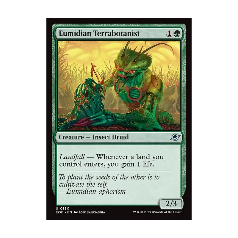 Eumidian Terrabotanist - Edge of Eternities (Near Mint)