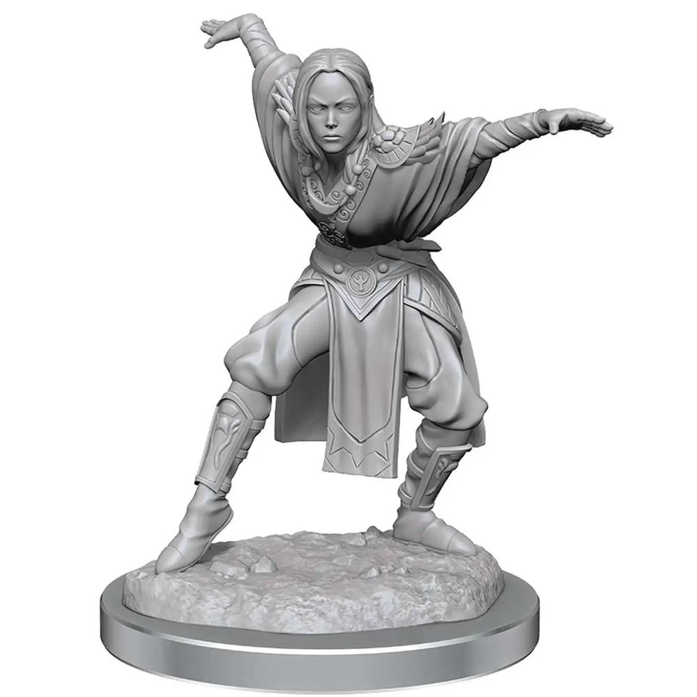 Pathfinder Battles Deep Cuts Unpainted Minis: W21 Female Half-Elf Monk