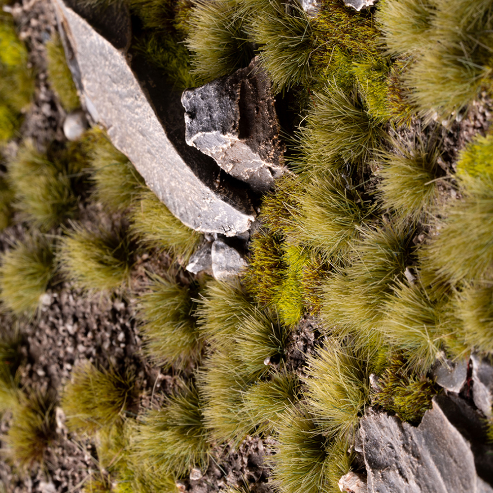 Gamers Grass Tufts: Dry Green - Wild 6mm