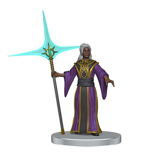 D&D Icons of the Realm: Adventures in the Forgotten Realms - Adventuring Party
