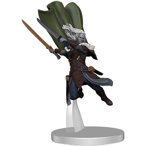 D&D Icons of the Realm: Adventures in the Forgotten Realms - Companions of the Hall