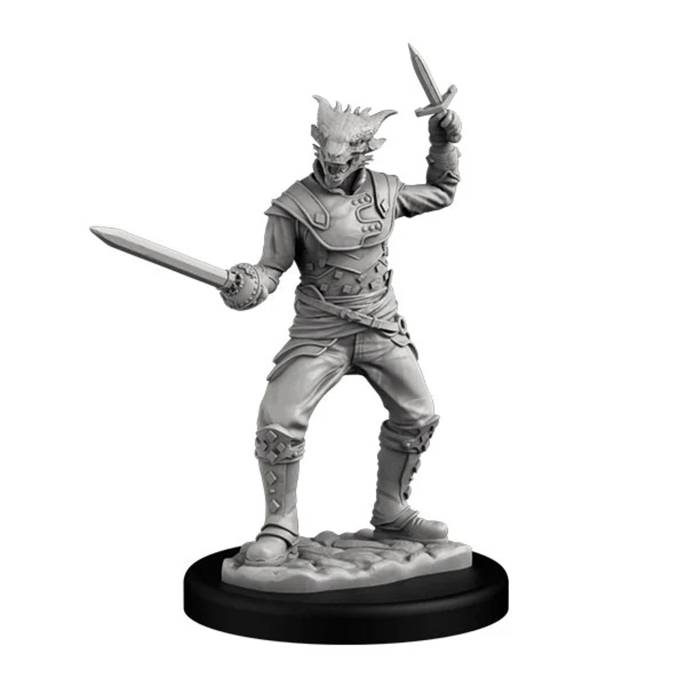 Next Level Miniatures: Dragonborn Swashbuckler (Male)