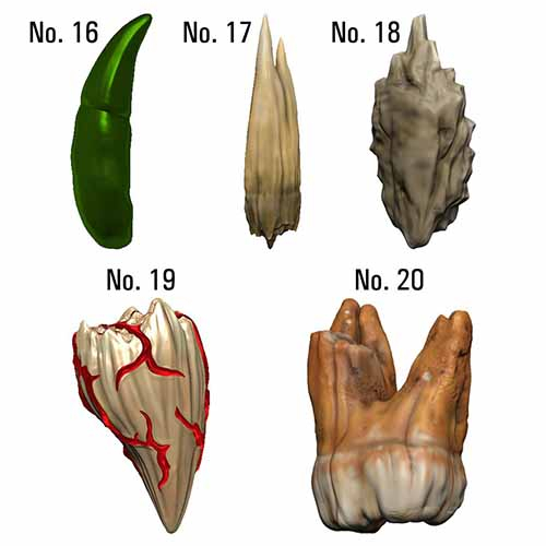 D&D Icons of the Realms: Teeth of Dahlver-Nar - Bite-sized Artifacts