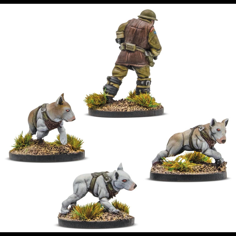 Konflikt '47: British Commonwealth - Cerberus Squad