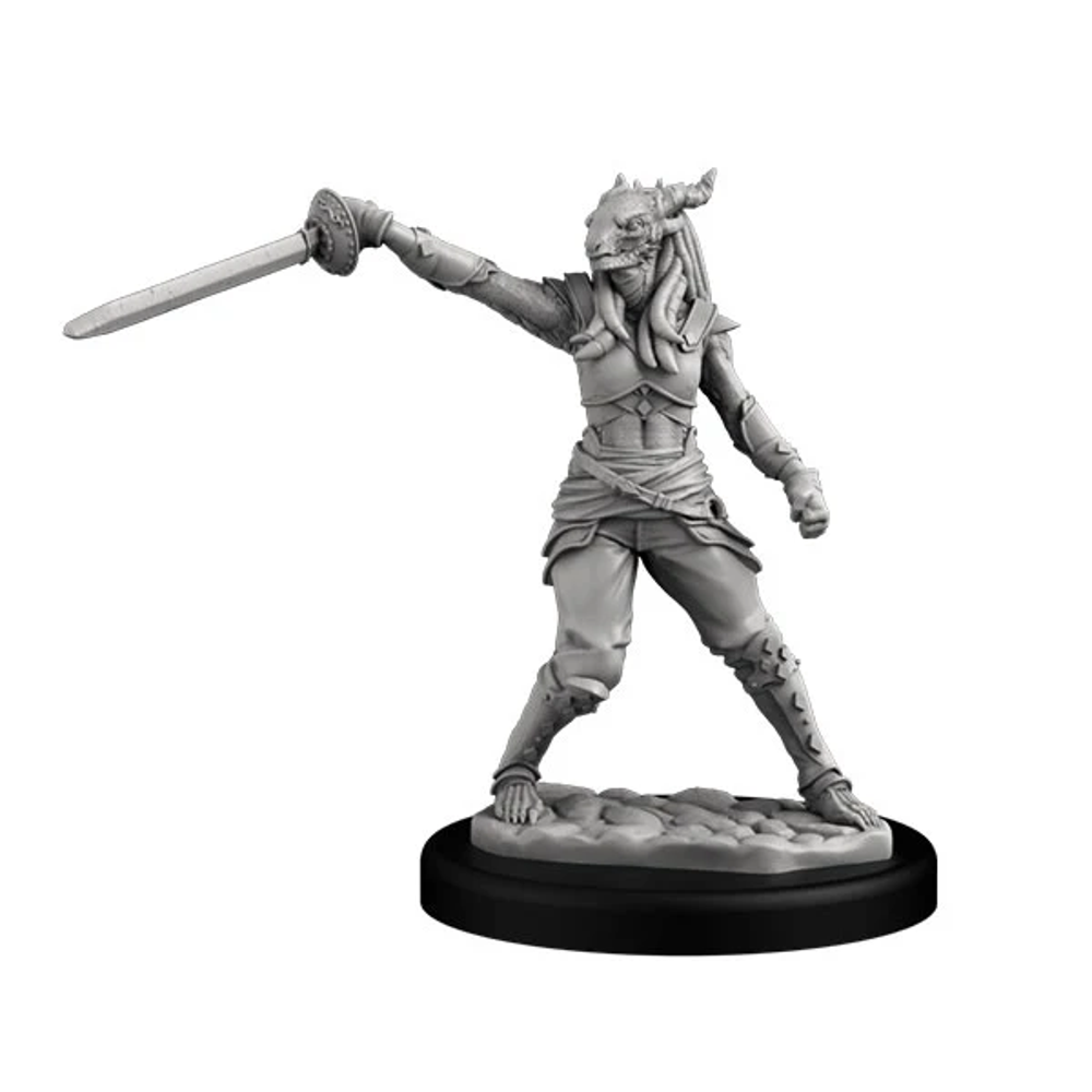 Next Level Miniatures: Dragonborn Swashbuckler (Female)