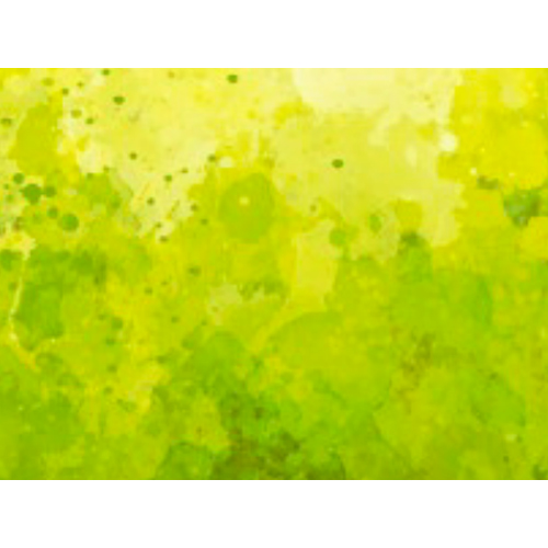 Game Color: Special FX - Bile (18ml)