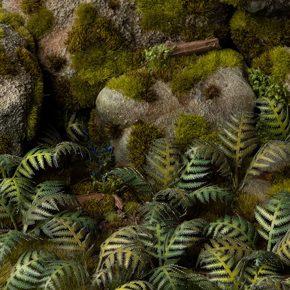 Laser Plants: Bracken