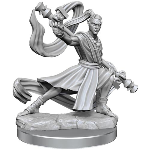 D&D Frameworks: W1 Male Elf Monk