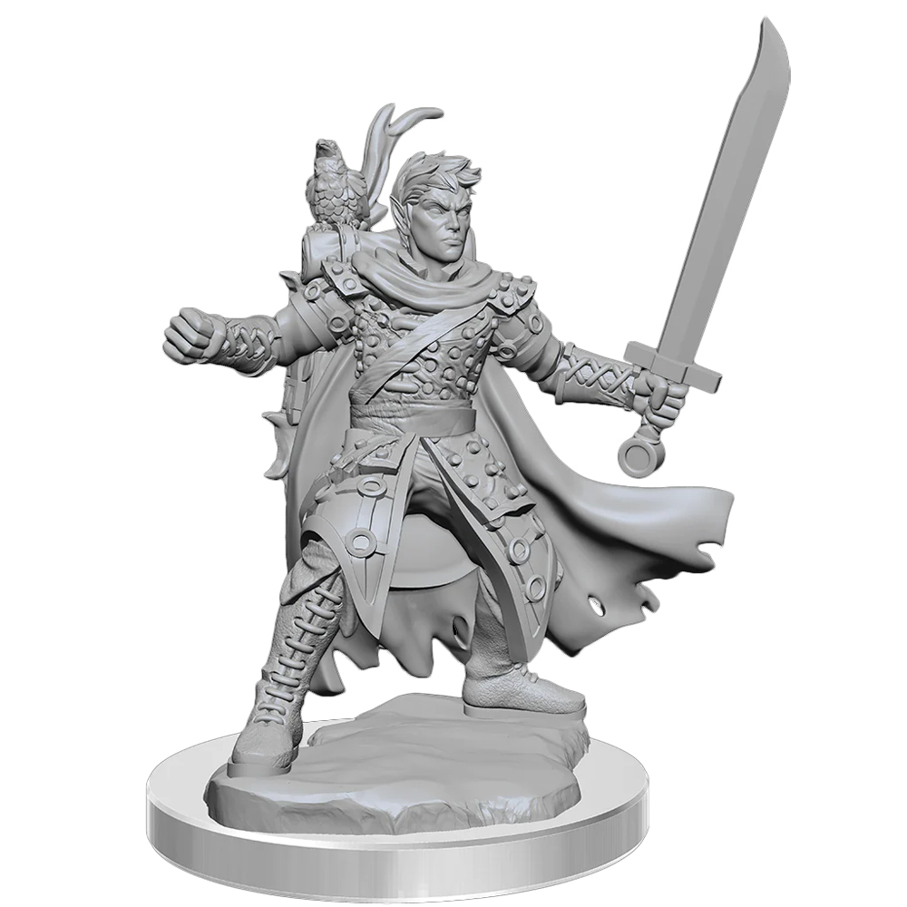 D&D Frameworks: W2 Male Half-Elf Ranger