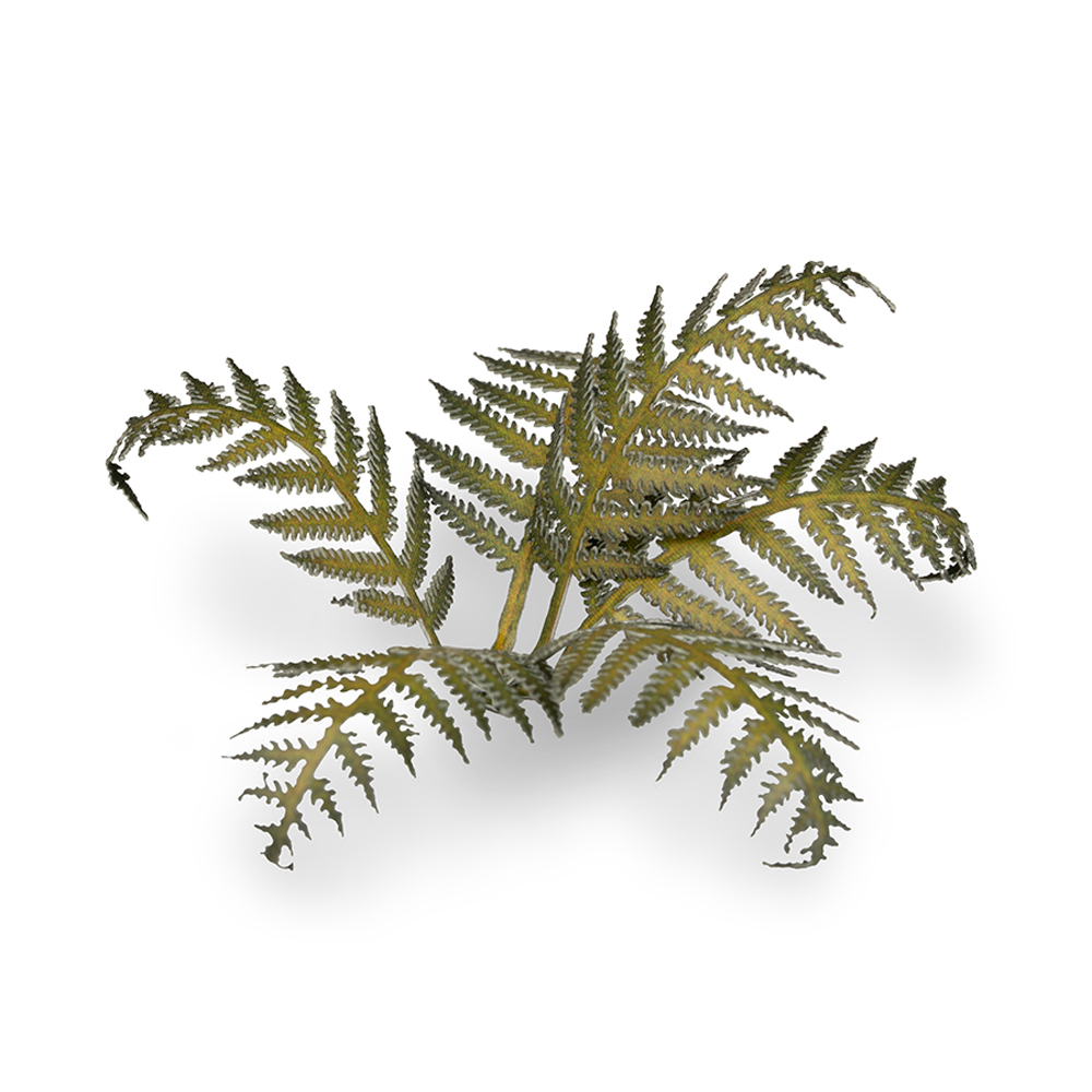 Laser Plants: Bracken