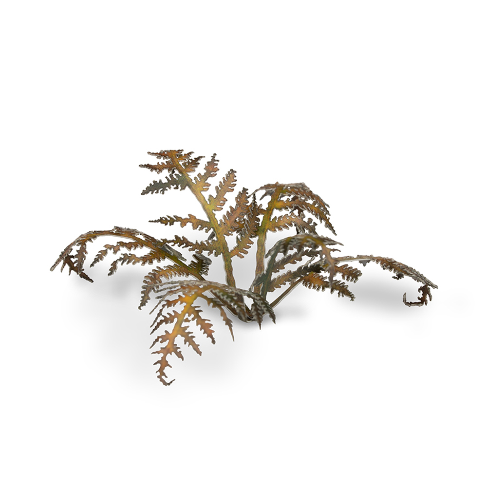 Laser Plants: Dry Bracken