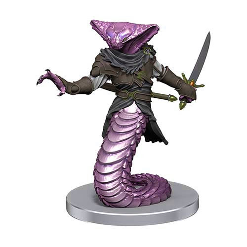 D&D Icons of the Realm: Adventures in the Forgotten Realms - Adventuring Party
