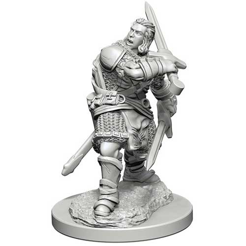 D&D Nolzur's Marvelous Unpainted Minis: W3 Male Human Paladin