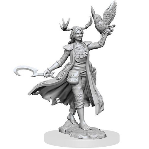 D&D Frameworks: W1 Female Human Druid