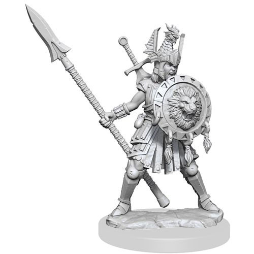 D&D Frameworks: W1 Female Human Fighter