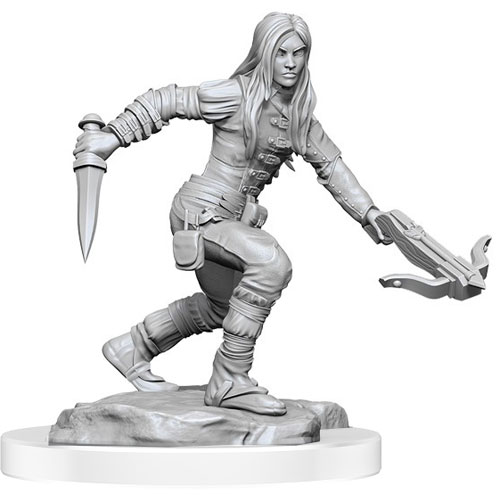 D&D Nolzur's Marvelous Unpainted Minis: W17 Female Half-Elf Rogues