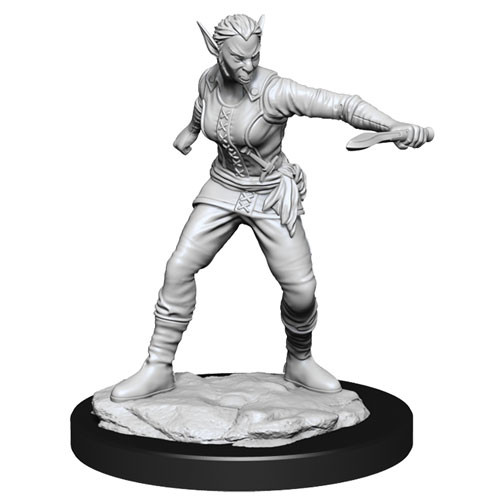 D&D Nolzur's Marvelous Unpainted Minis: W13 Female Shifter Rogue