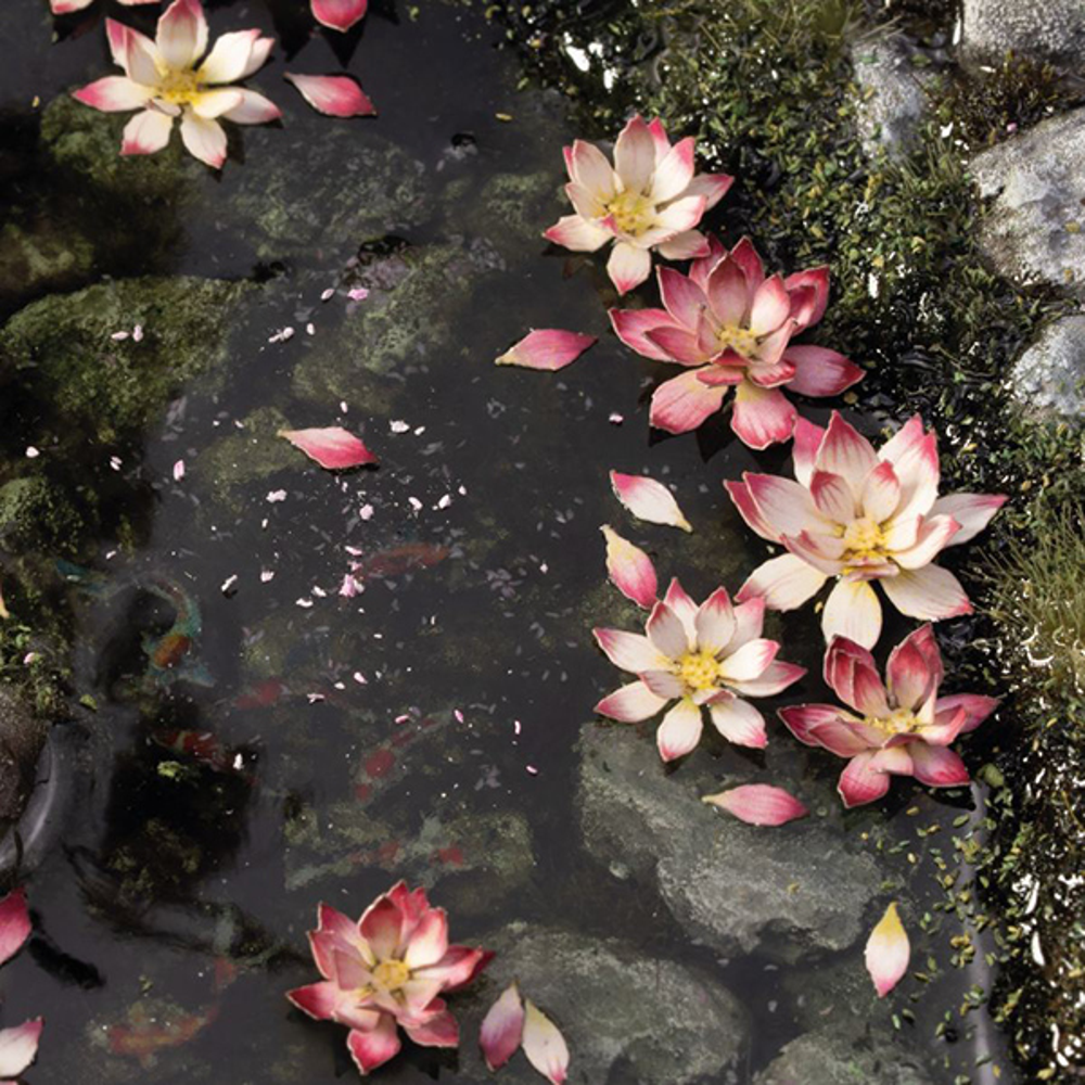 Laser Plants: Lotus Flower