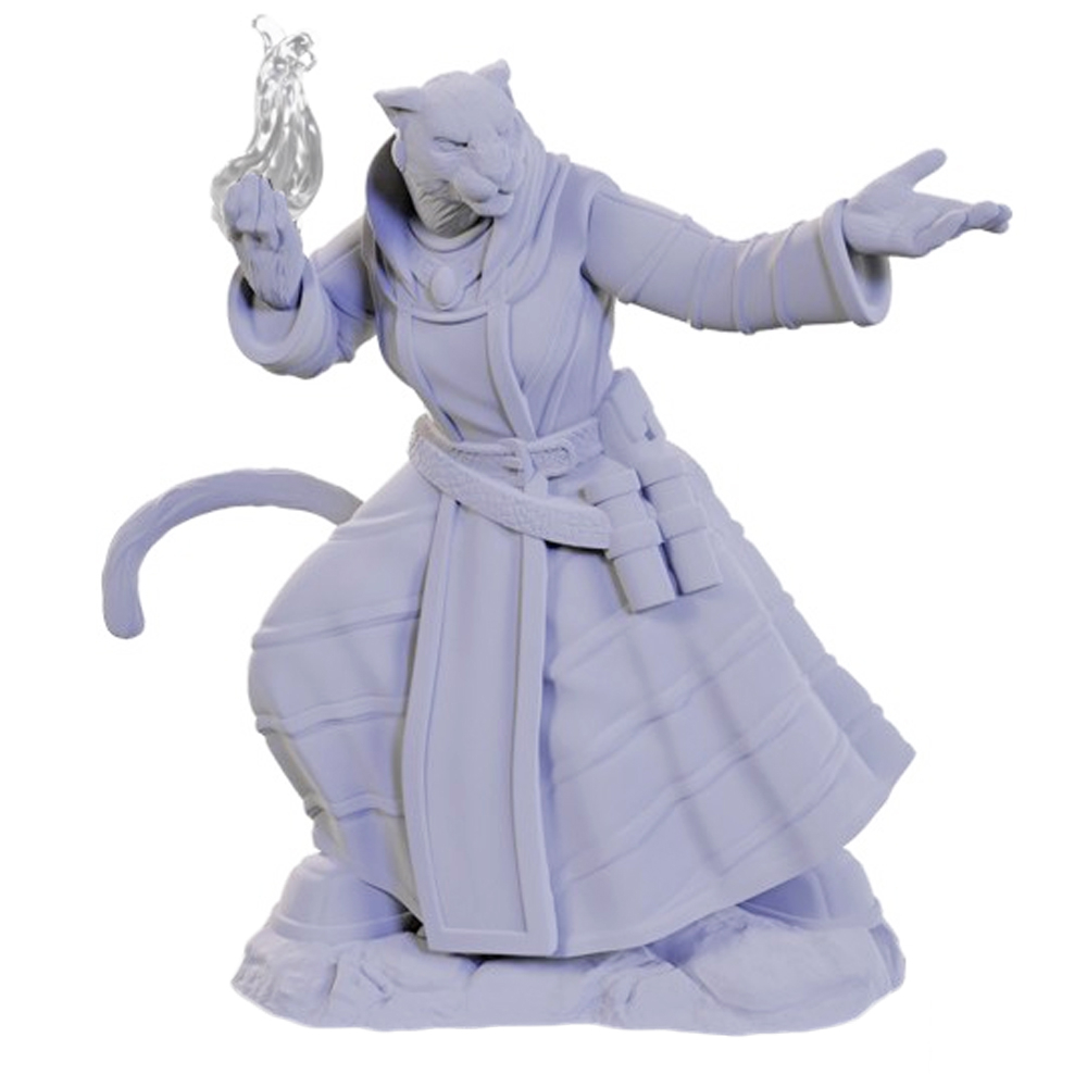 Critical Role Unpainted Minis: W5 Lucien Tavelle & Cree Deeproots